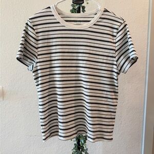 Striped Short Sleeve T-Shirt